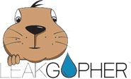 Leak Gopher